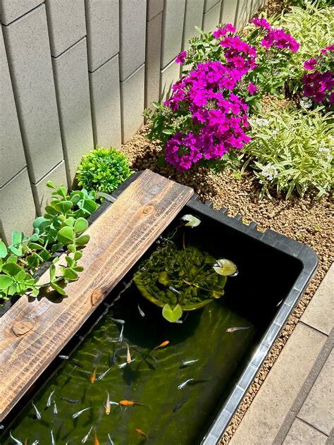 風水 植栽